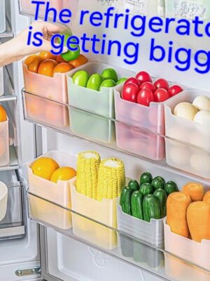 Refrigerator Storage Box Food Food Vegetable Fruit Classification
